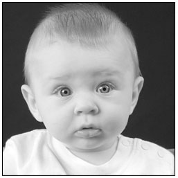 Aiden - Photo by Marc Liljegren